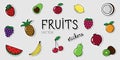 Set of vector fruit and berry stickers. Collection of cartoon elements with shadows on the grey Royalty Free Stock Photo