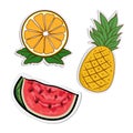 Set vector of fruits, pineapple, watermelon and orange or lemon with paper cutout style with outline and bright color Royalty Free Stock Photo