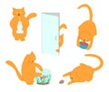 Set of vector funny red cats. Life of domestic cats. A fat red cat is playing with a mouse and fish, eating, looking out of the Royalty Free Stock Photo