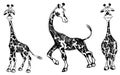 Set of vector giraffes