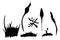 Set of Vector grass and plant silhouettes. Vector hand drawn illustration on a white background Royalty Free Stock Photo