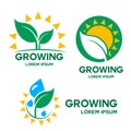 Set of vector growing emblem, logo on white background