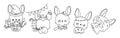 Set of Vector Halloween Rabbit Coloring Page. Collection of Kawaii Isolated Halloween Bunny Outline