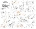 Set of vector hand drawn cats illustrations Royalty Free Stock Photo