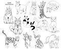 Set of vector hand drawn cats illustrations Royalty Free Stock Photo