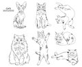 Set of vector hand drawn cats illustrations Royalty Free Stock Photo