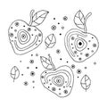 Set of vector hand drawn childish juicy, fruits. Cute childlike cherry with leaves, seeds, drops. Doodle, sketch, cartoon style. L Royalty Free Stock Photo