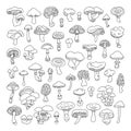 Set of vector hand-drawn, doodles mushrooms.