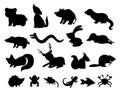 Set of vector hand drawn flat woodland animals silhouettes. Funny animalistic collection. Royalty Free Stock Photo