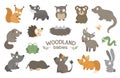 Set of vector hand drawn flat woodland baby animals.