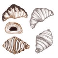 Set of vector hand drawn French croissants isolated on white Royalty Free Stock Photo