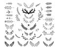 Set of vector hand drawn laurels, wreath, branches