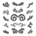 Set of vector hand drawn laurels, wreath, branches