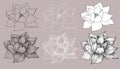 Set of vector hand drawn lotus flower black line art illustration. Outline floral drawing for for logo, tattoo Royalty Free Stock Photo