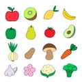 Set of vector hand drawn vegetables and fruits isolated on white. Doodle style illustration. Cauliflower, bulgarian pepper, carrot Royalty Free Stock Photo