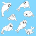 Set of vector harp baby seals