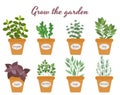 Set of vector herbs in pots with labels Royalty Free Stock Photo