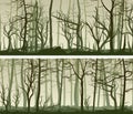 Horizontal wide banners with many tree trunks. Royalty Free Stock Photo