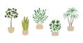 Set of vector house indoor plants, potted plants collection on white background.