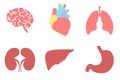 Set vector icons of human internal organs. Brain, liver, stomach, heart, lungs, kidneys illustration. Suitable for print, web and Royalty Free Stock Photo