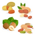 Set vector icons nuts and seeds