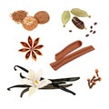 Set vector icons spices. Cardamom, star anise, nutmeg, vanilla flower and sticks, cloves, cinnamon. Vector Illustration. Royalty Free Stock Photo