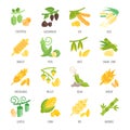 Set Vector Flat Icons of Beans and Cereals Royalty Free Stock Photo