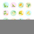 Set Vector Flat Icons of Beans and Cereals