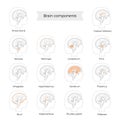 Set of vector illustration of brain components Royalty Free Stock Photo