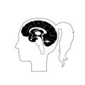 Vector illustration of woman brain anatomy Royalty Free Stock Photo