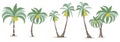 Set of vector illustration coconut palm, palm tree branch Royalty Free Stock Photo