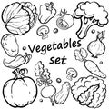 Vegetables set