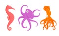 Set of vector illustration flat caroon coral seahorse, purple octopus, orange squid