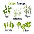 Set of vector illustration herbs with lettering.