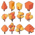 Set vector illustrations of Autumn tree in minimal isometric design.