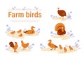 Set of vector illustrations of farm bird in flat cartoon style.