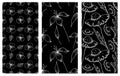 Set of vector illustrations of flowers. Seamless black and white backgrounds with hand drawn lily, dandelions with leaves Hand dra Royalty Free Stock Photo