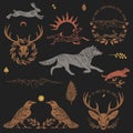 Set of vector illustrations. Forest animals Royalty Free Stock Photo