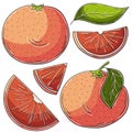 Set of vector illustrations in hand drawn style Royalty Free Stock Photo