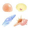 Set of vector illustrations of sea shells of different shapes and colors in cartoon style Royalty Free Stock Photo