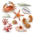 Set of vector illustrations seashells, coral, crab and starfish