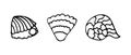 Set of vector illustrations of seashells. Doodle style.