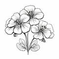 Geranium Flower Coloring Book Page Tropical Baroque Style