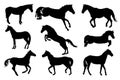 A set of vector illustrations with silhouettes of horses isolated on a white background.