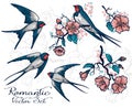 Set of vector illustrations: swallows and blooming tree branches Royalty Free Stock Photo