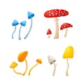 A set of vector illustrations of toadstools in a cartoon style, isolated on a white background