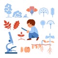 A set of vector illustrations on the topic of studying botany for children. Boy with a magnifying glass, sprouts, types of Royalty Free Stock Photo