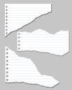 Set of Vector Illustrations of torn pages of notebook lined paper