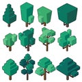 Set vector illustrations of tree in minimal isometric design. Royalty Free Stock Photo