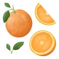 A collection of vector illustrations, a whole orange with a twig and a leaf, cut in half, and a wedge. Fresh healthy natural